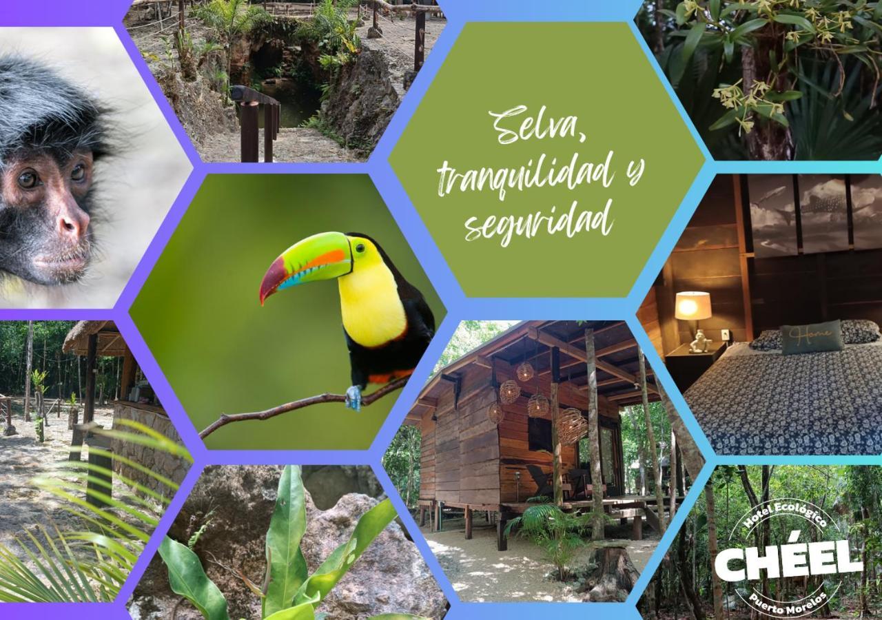 Cheel Lodge & Camping Puerto Morelos Exterior foto