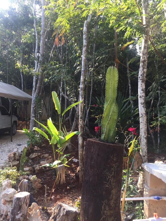 Cheel Lodge & Camping Puerto Morelos Exterior foto