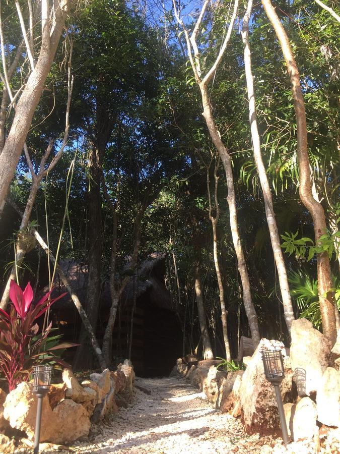 Cheel Lodge & Camping Puerto Morelos Exterior foto